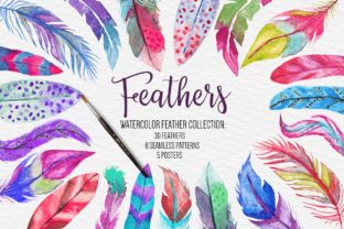 Discover the Beauty and Versatility of the Watercolor Feathers Collection